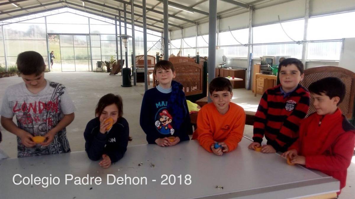 IMAGE 2018 04 18 09:09:29